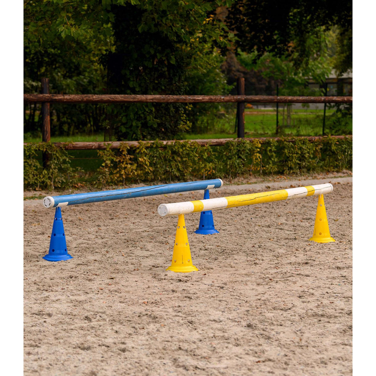 Waldhausen Pions XL Jeu de 8 Bleu/Jaune