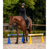 Waldhausen Pions XL Jeu de 8 Bleu/Jaune