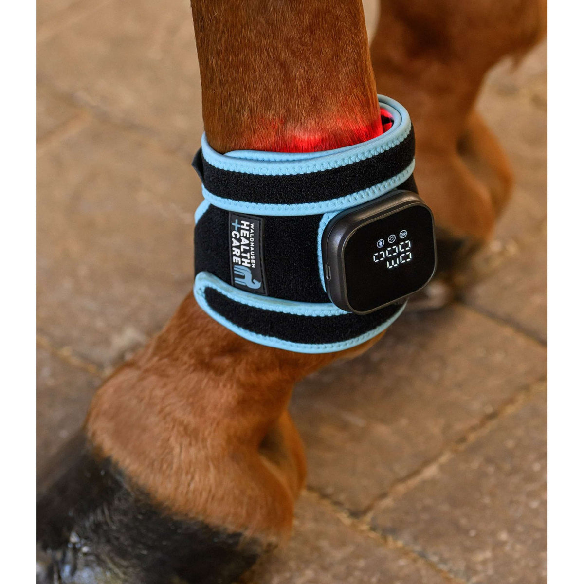 Waldhausen Health + Care FlexPad infrarouge Noir