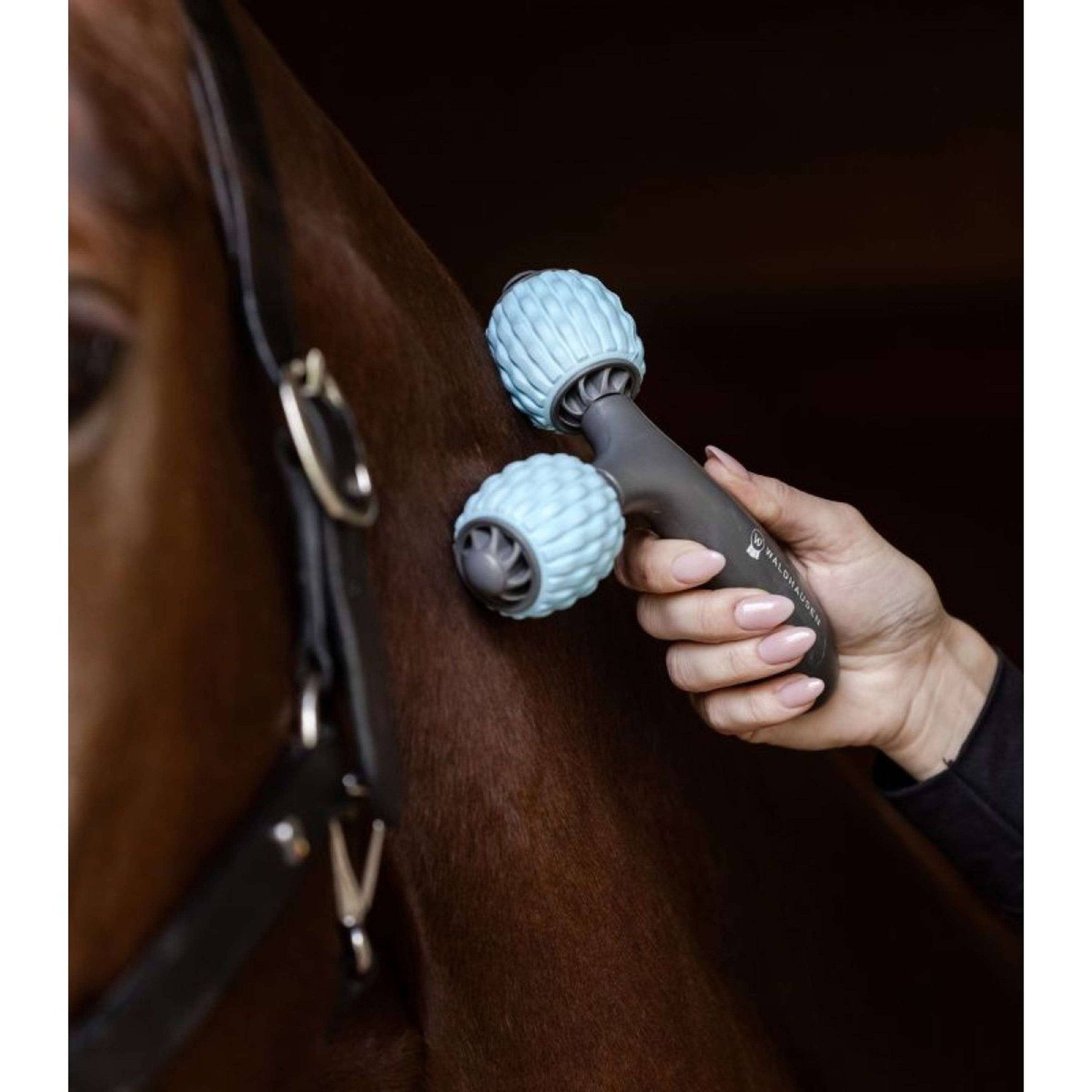 Waldhausen Health + Care Brosse de Massage Comfort Creator Gris/Bleu Waldhausen Health + Care Brosse de Massage Comfort Creator Gris/Bleu