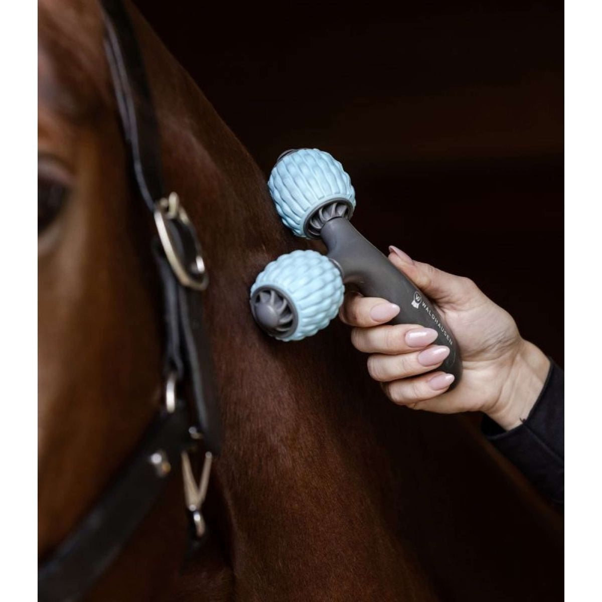 Waldhausen Health + Care Brosse de Massage Comfort Creator Gris/Bleu