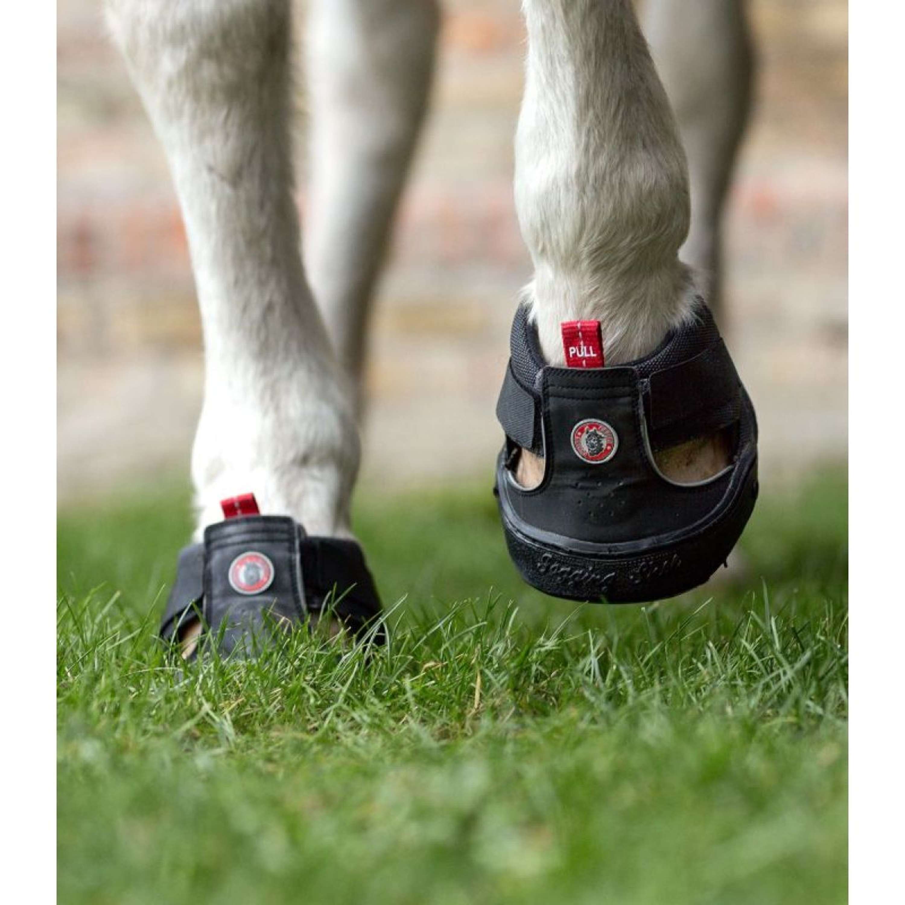Equine Fusion Hipposandale Trekking Slim Noir