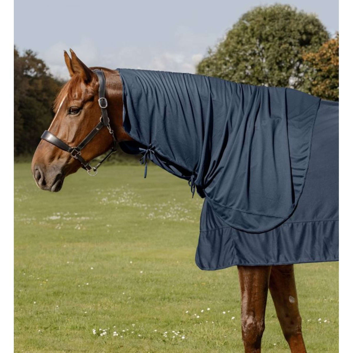 Waldhausen Health + Care Couvre-Cou Ice Layer Bleu Nuit