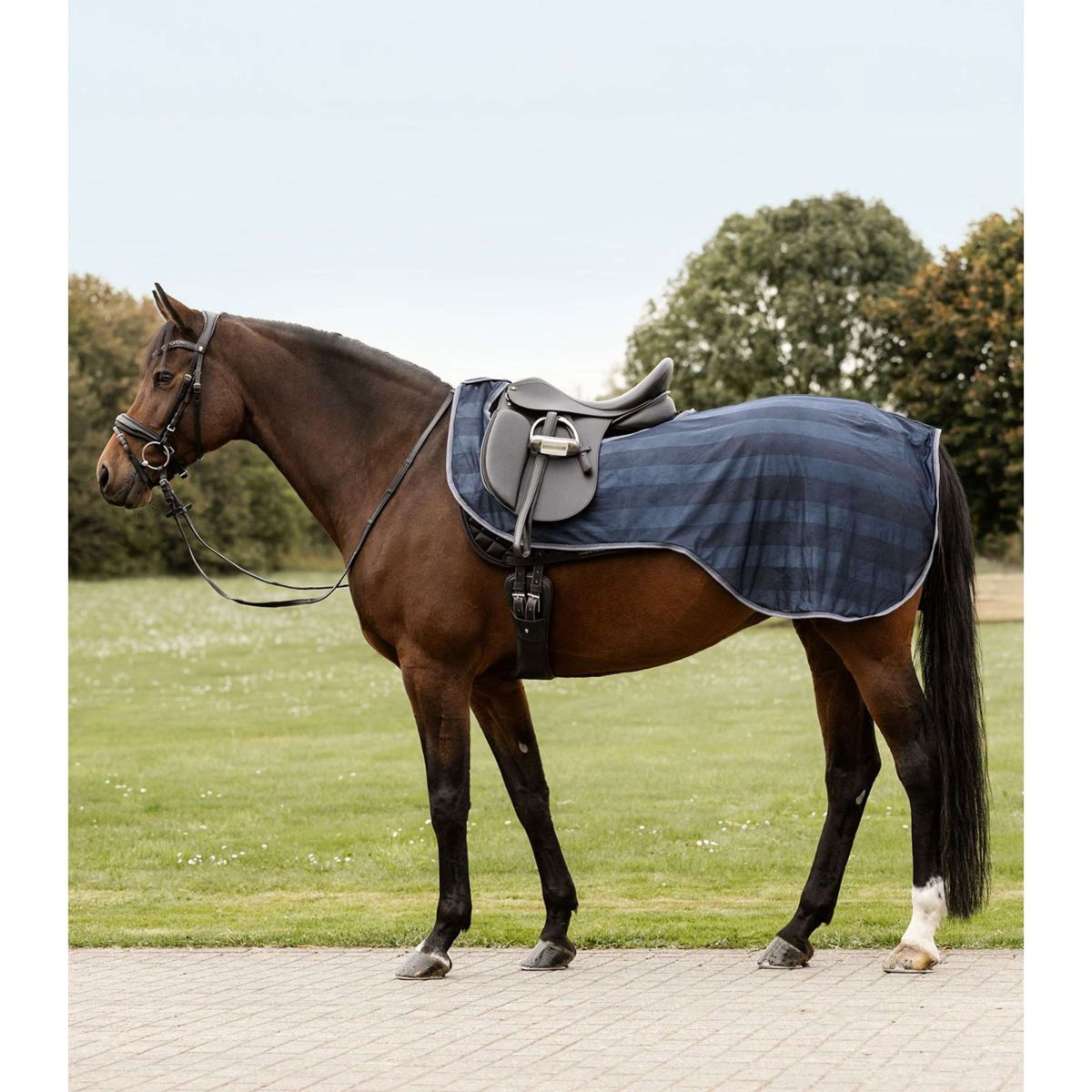 Waldhausen Couvre-reins Anti-Mouches Economic Bleu Nuit