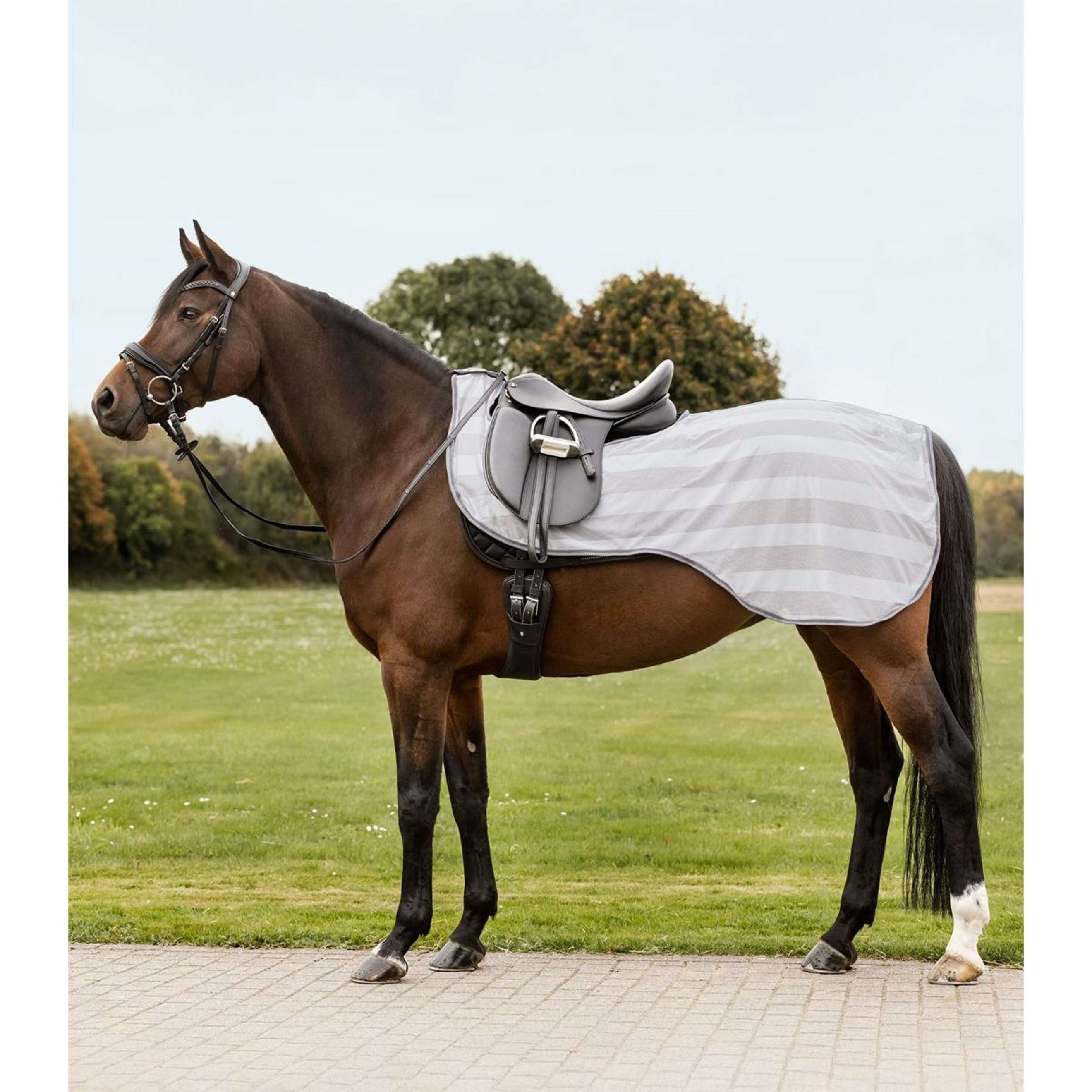 Waldhausen Couvre-reins Anti-Mouches Economic Gris Argent