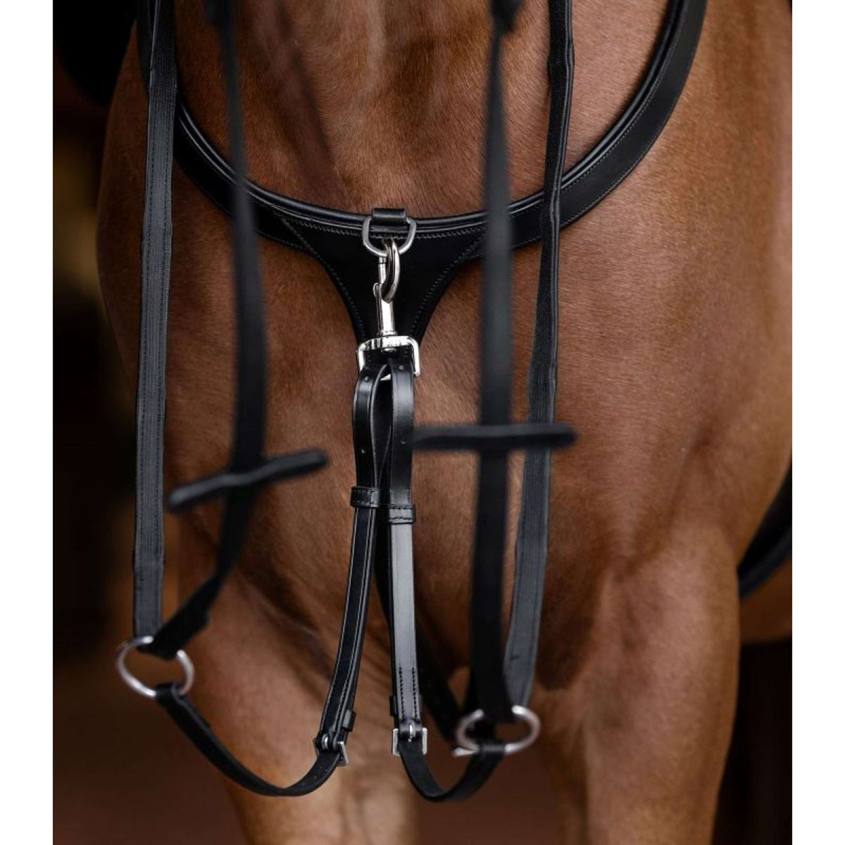 Waldhausen Martingale X-Line Noir