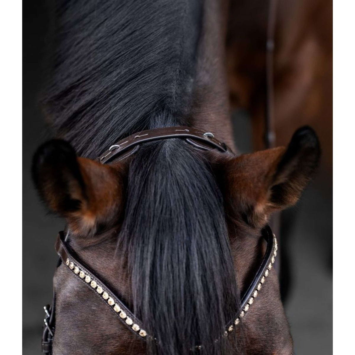 Waldhausen Bride X-Line Relaxation Marron