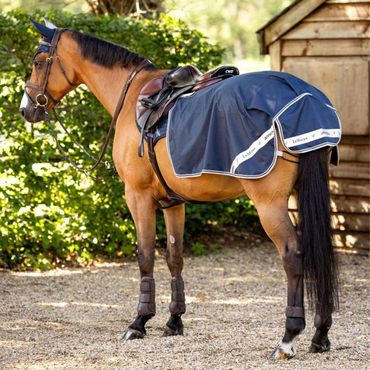 LeMieux Couvre-reins Exercise Étanche Marin