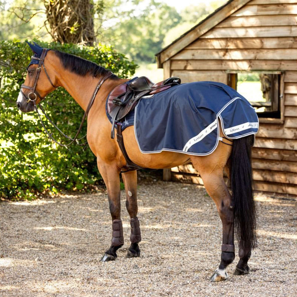 LeMieux Couvre-reins Exercise Étanche Marin